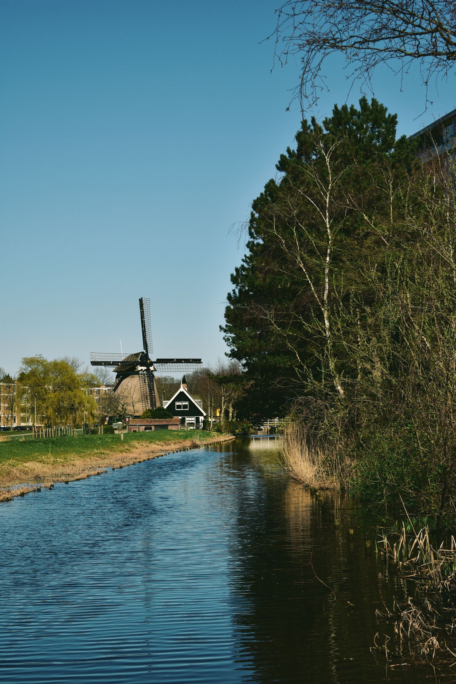 Oude windmolen aan een rivier in een Nederlands landschap