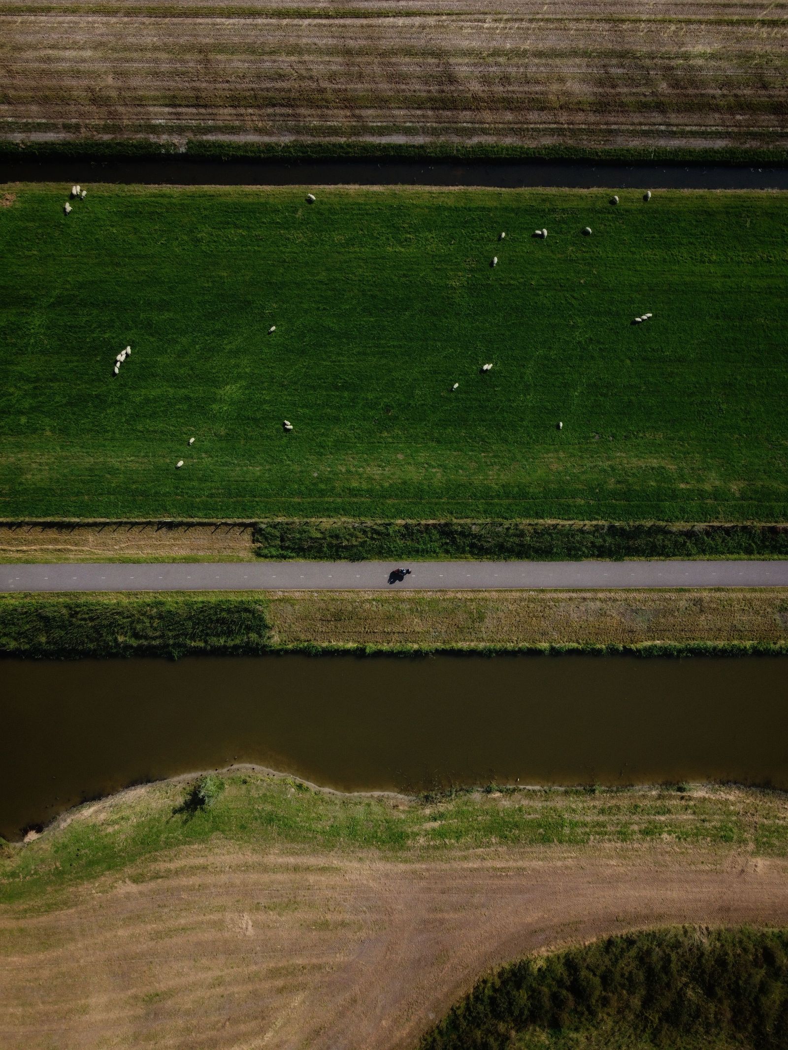 Weg langs een veld en rivier in een landelijk gebied