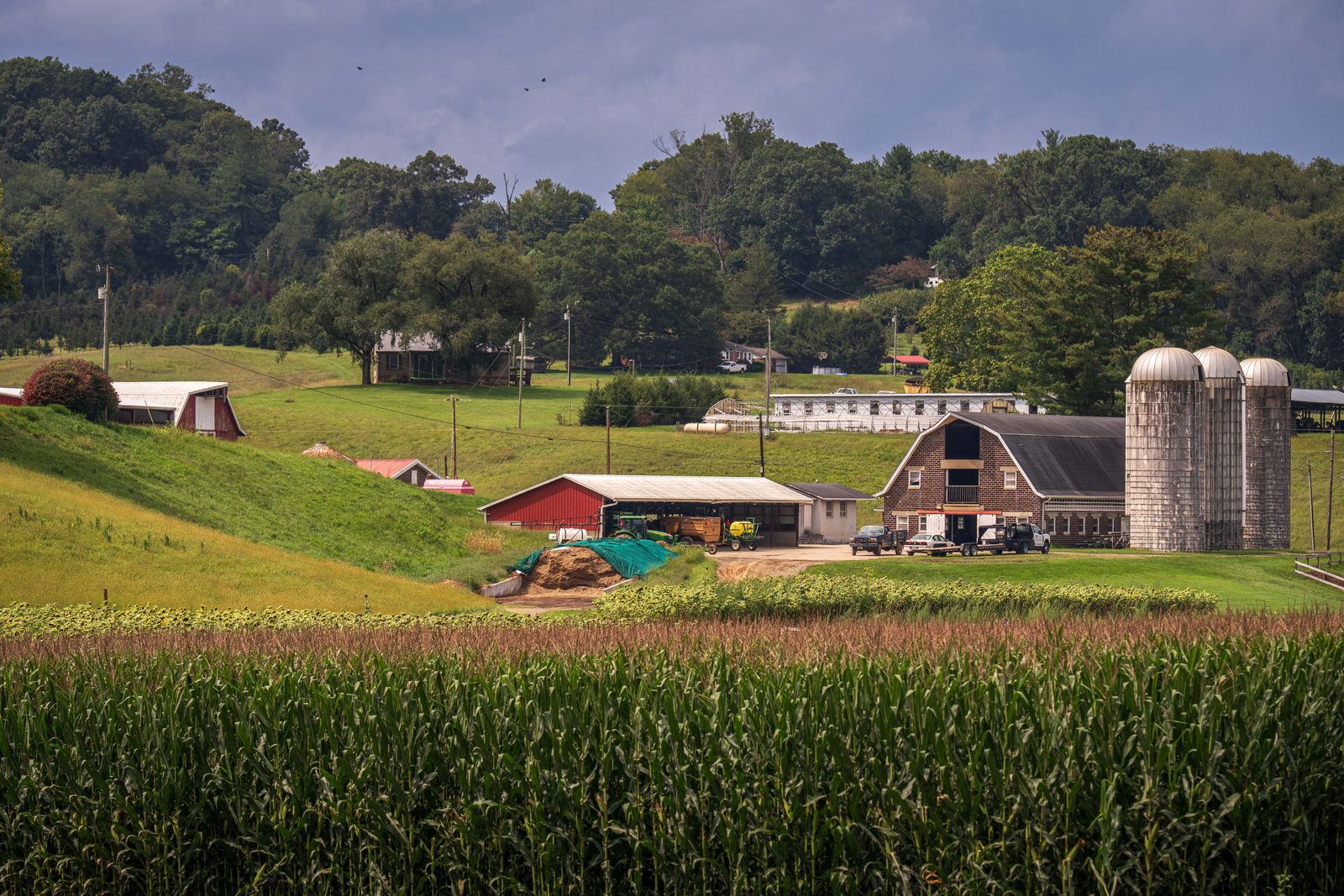 Landelijk boerenlandschap met schuren en silo's