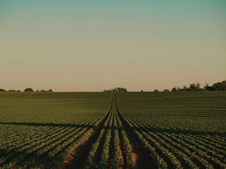 Uitgestrekt agrarisch veld bij zonsondergang